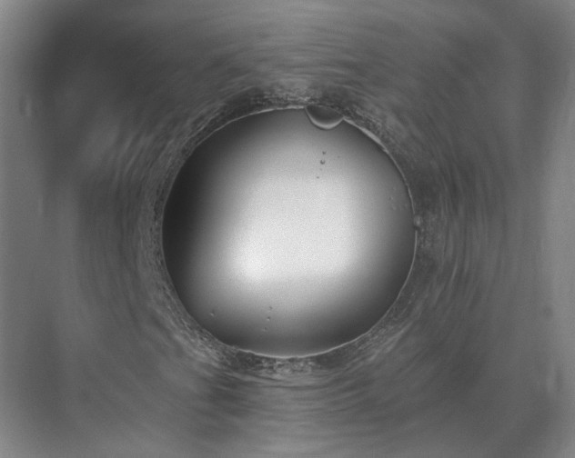 X0000075401201200609151811