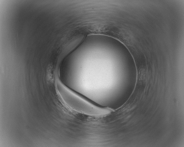 X0000075401202200609151811