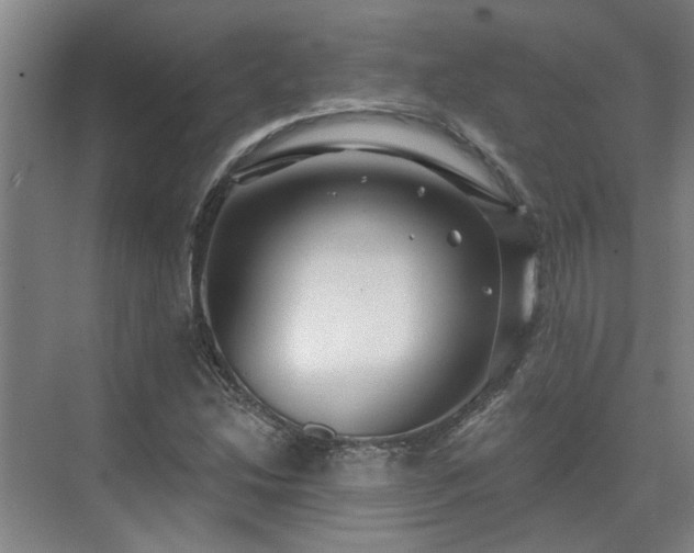 X0000075401214200609151811