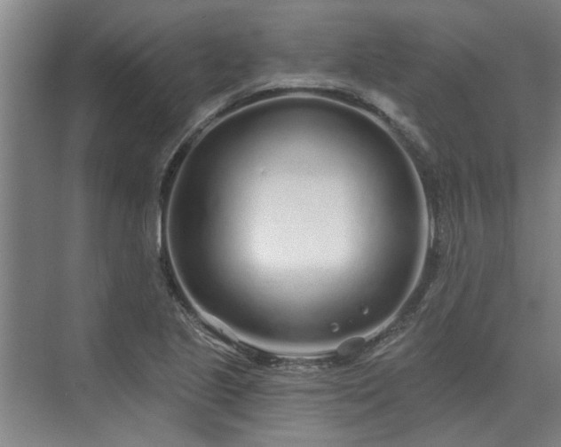 X0000075401221200609151812