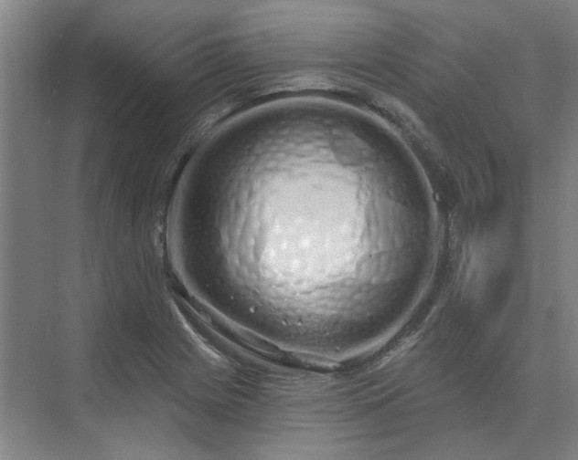 X0000075401225200609151812