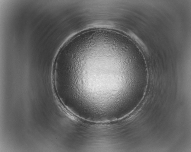 X0000075401240200609151812