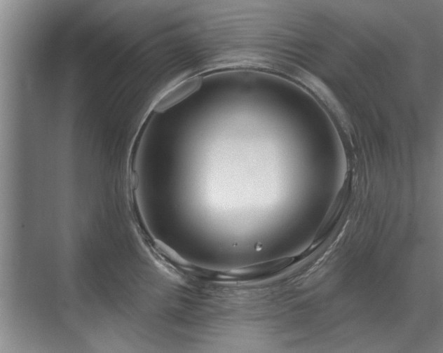 X0000075401242200609151812