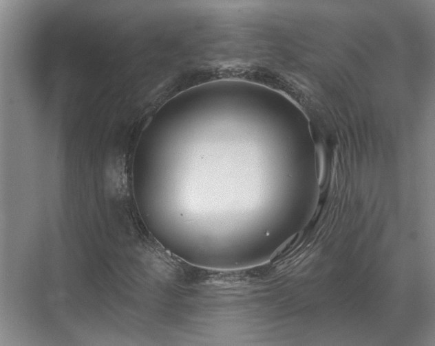 X0000075401252200609151811