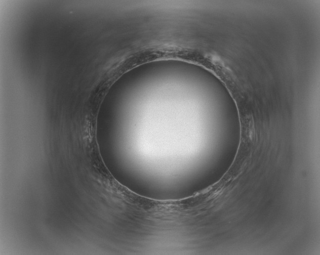 X0000075401253200609151811