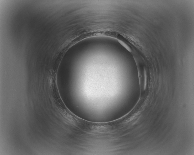 X0000075401257200609151811