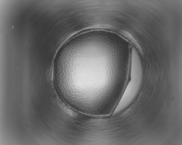 X0000075401276200609151811