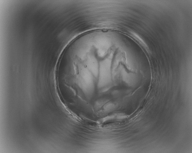 X0000075401291200609151811