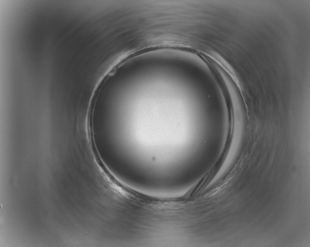 X0000075401293200609151811