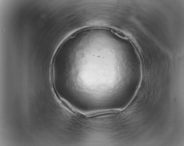 X0000075401295200609151810
