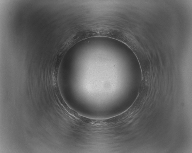 X0000075401298200609151810