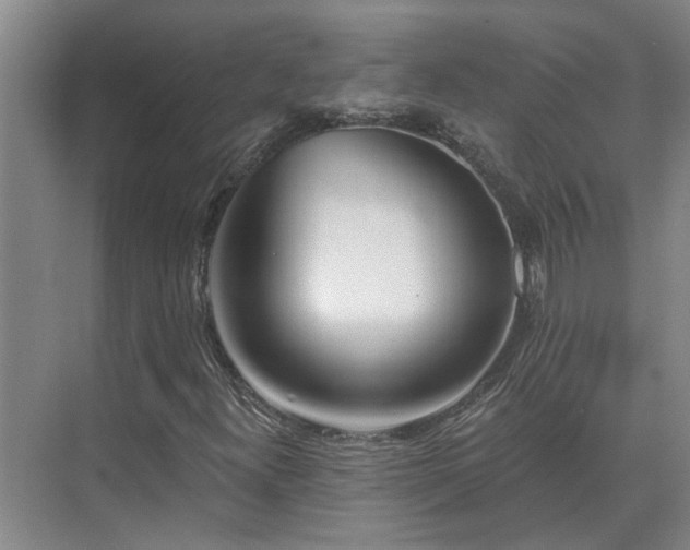 X0000075401300200609151810