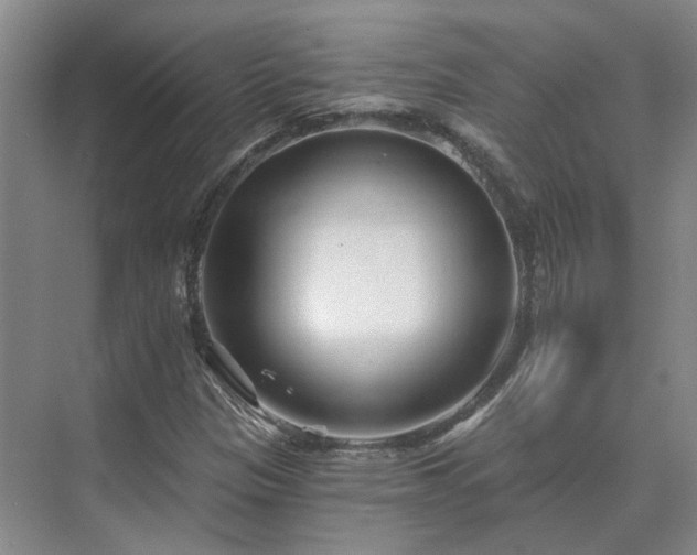 X0000075401305200609151810