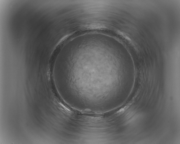 X0000075401306200609151810
