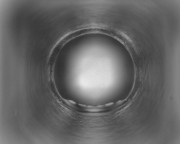 X0000075401310200609151810