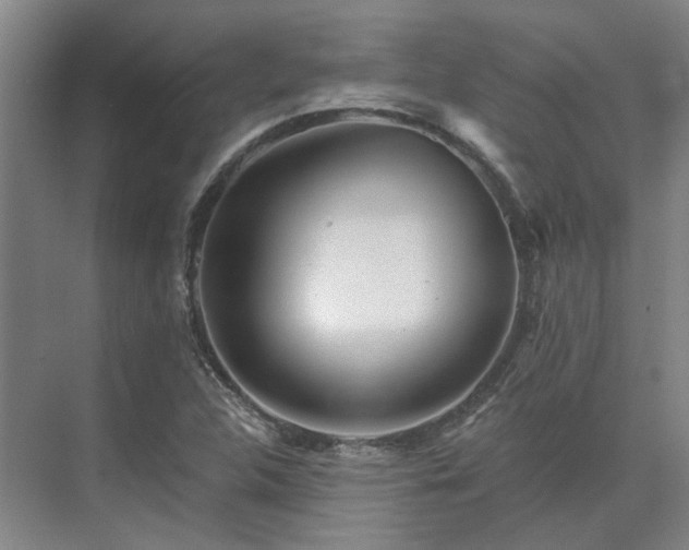 X0000075401312200609151810