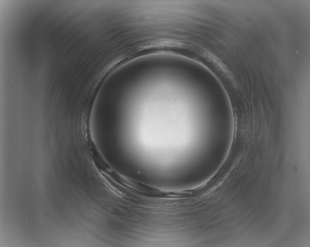 X0000075401321200609151810