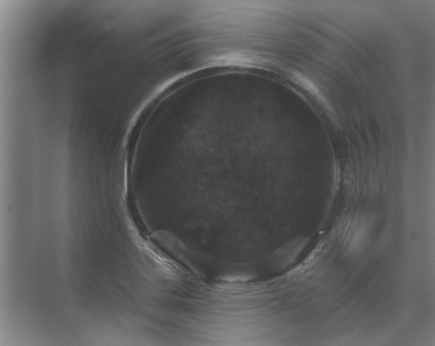 X0000075401323200609151810