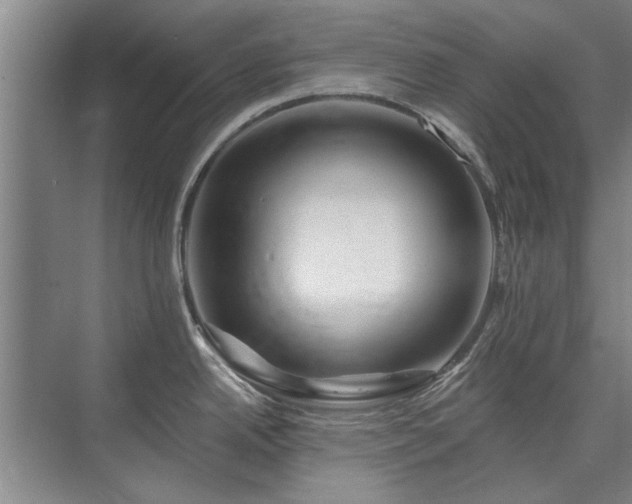 X0000075401342200609151810