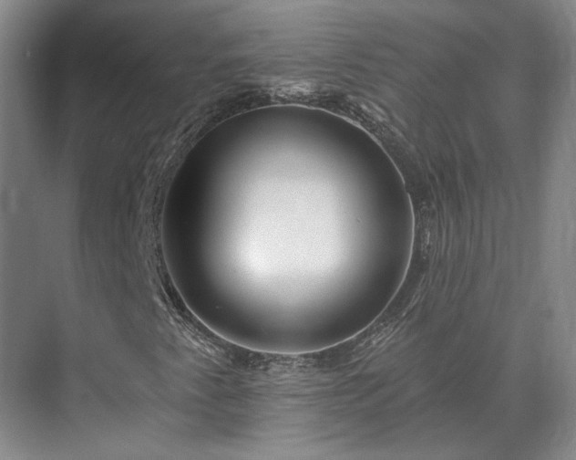X0000075401345200609151810