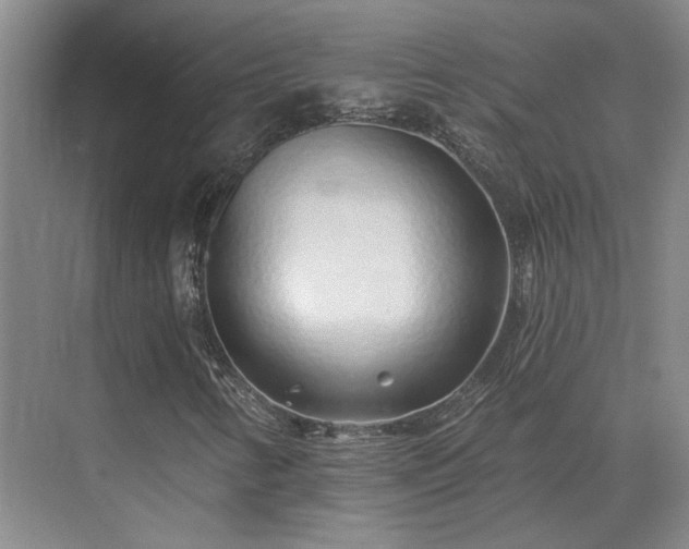 X0000075401346200609151810