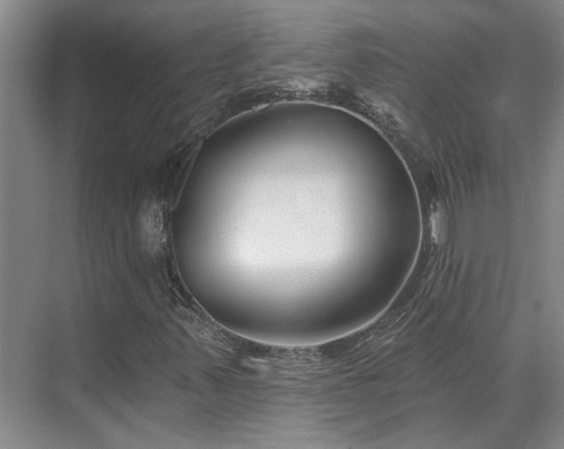 X0000075401347200609151810