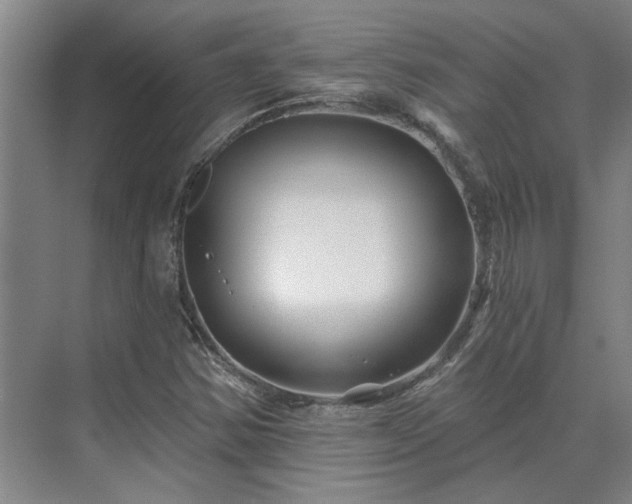 X0000075401354200609151809