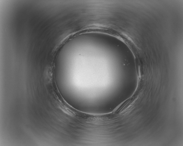 X0000075401355200609151809