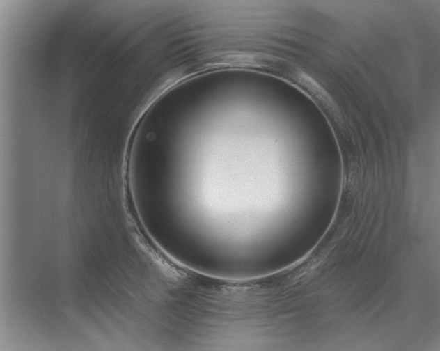 X0000075401378200609151809