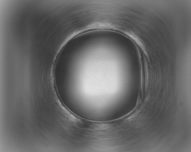 X0000075401382200609151809