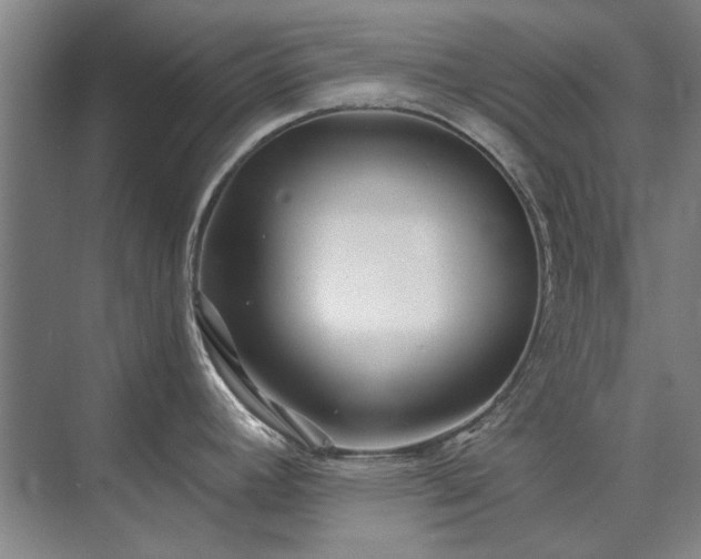 X0000075401392200609151809