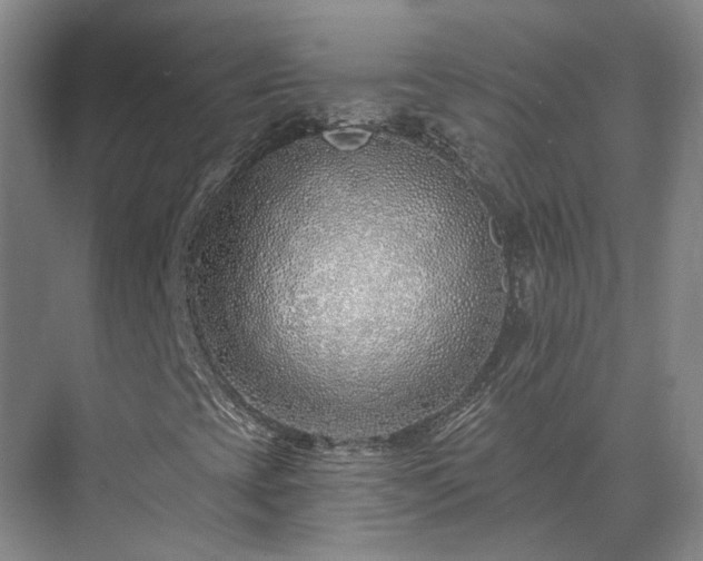 X0000075401393200609151808