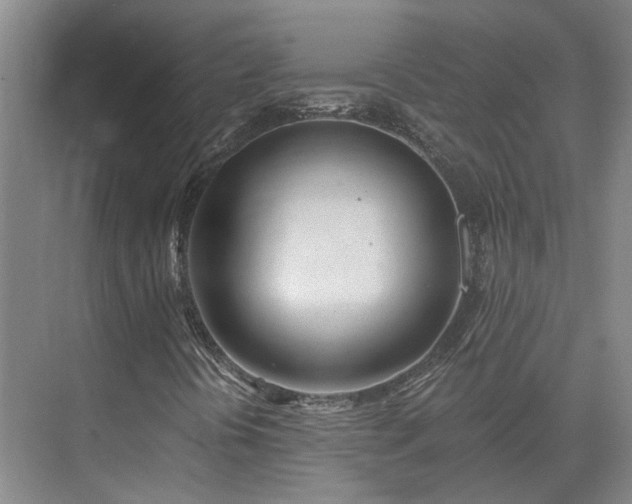 X0000075401394200609151808