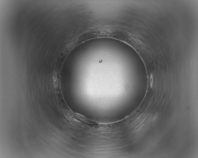 X0000075401395200609151808
