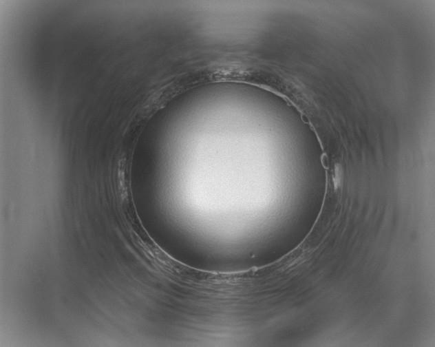 X0000075401396200609151808