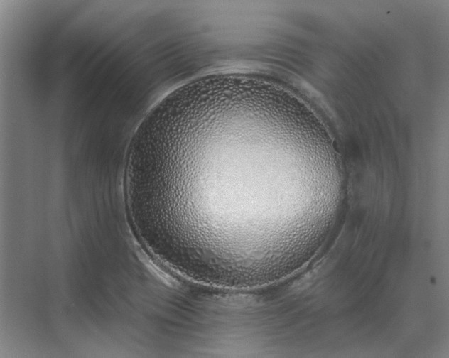 X0000075401417200609151808