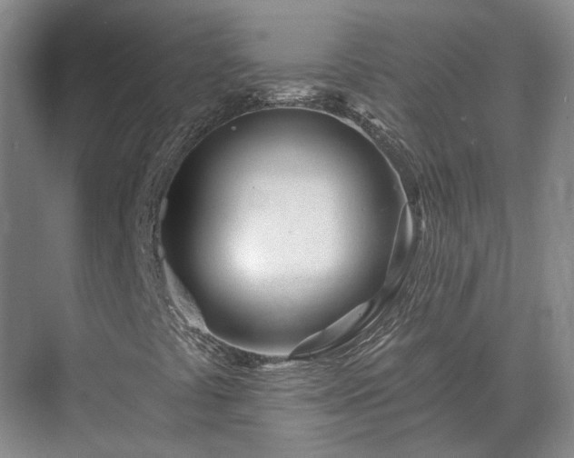 X0000075401441200609151808