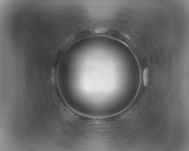 X0000075401443200609151808