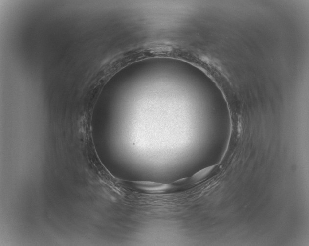 X0000075401445200609151808