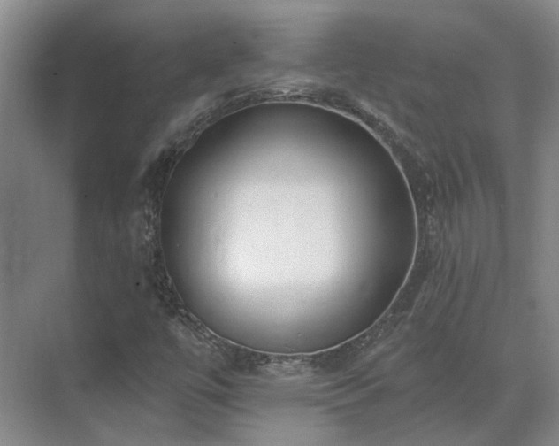 X0000075401447200609151808