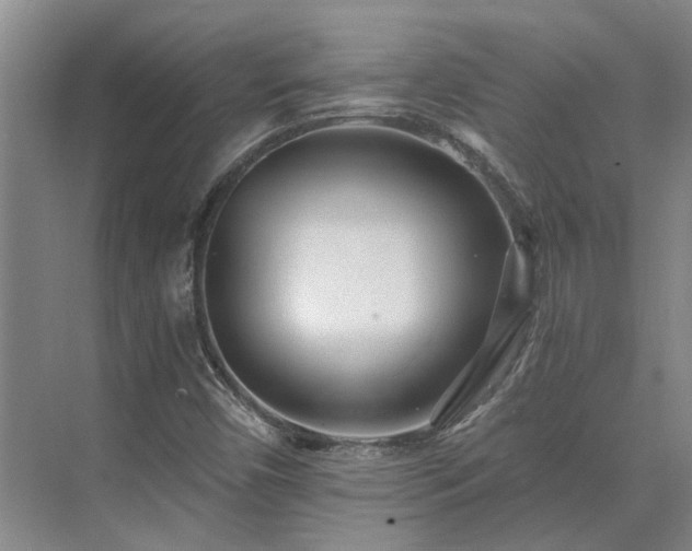X0000075401450200609151808