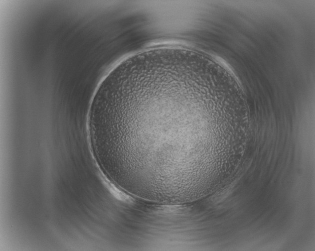 X0000075401482200609151807