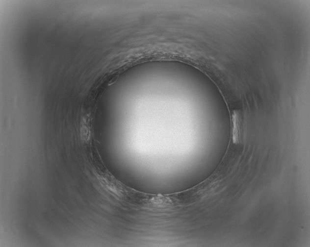 X0000075401491200609151806