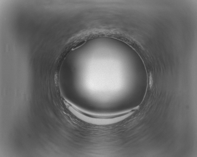 X0000075401492200609151806