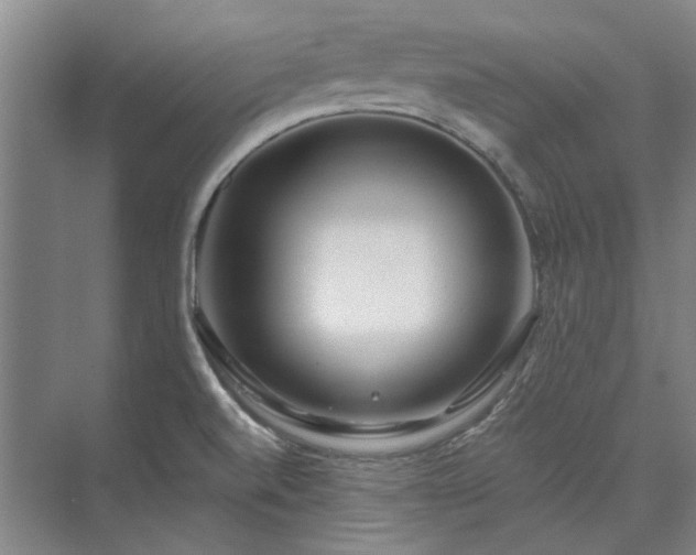 X0000075401520200609151807