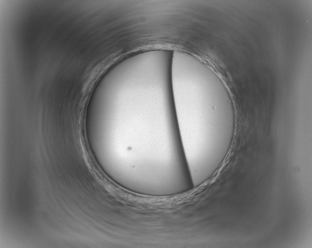 X0000075400001200609251030