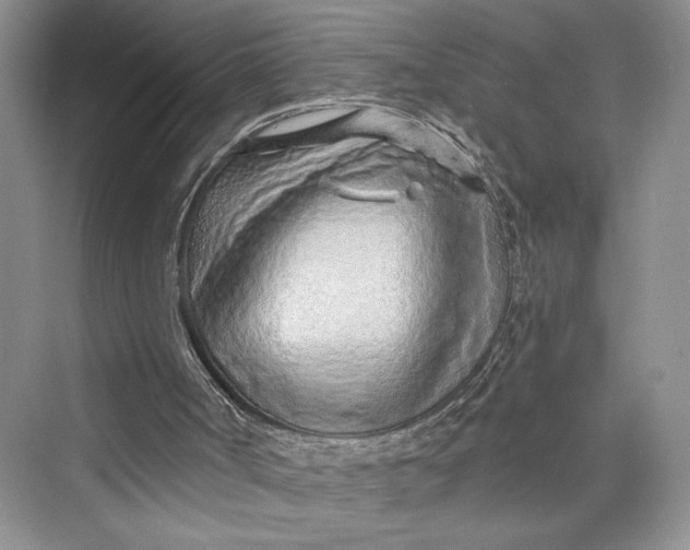 X0000075400002200609251030