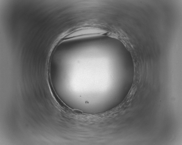 X0000075400003200609251030