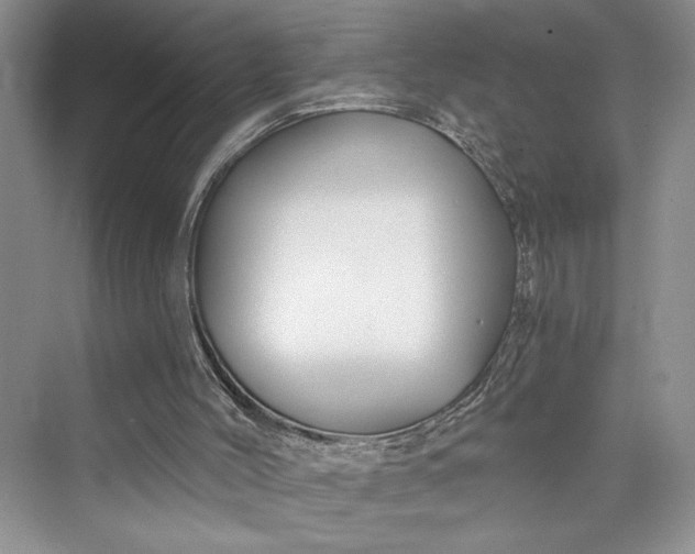 X0000075400004200609251030