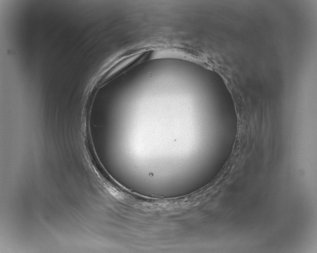 X0000075400005200609251030